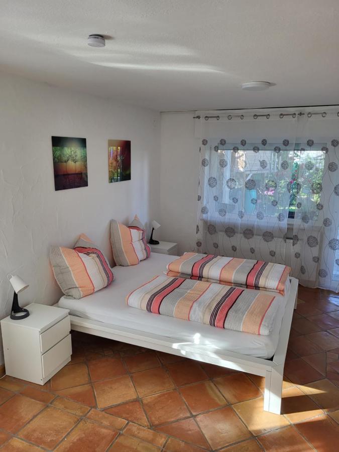 Ferienwohnung Fischbach FDH Екстериор снимка